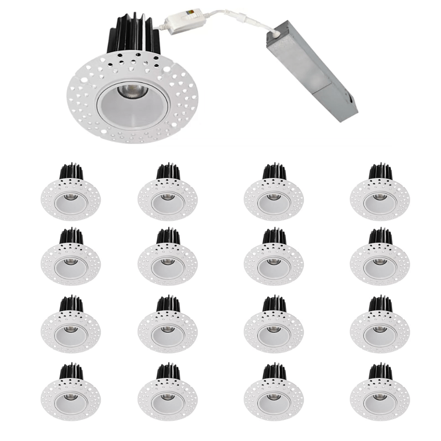 Trimless Downlight