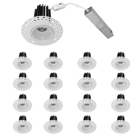 Trimless Downlight