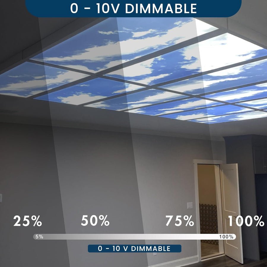 LED Panel Light 2x4 - Sky Panels, 72W 6500K Dimmable Flat Panel, 9000 Lumens, Recessed Drop Ceiling Fixture, 120-277V, ETL Listed (4 Pack)